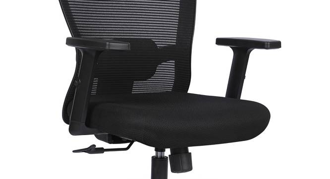 Cohen Study Chair