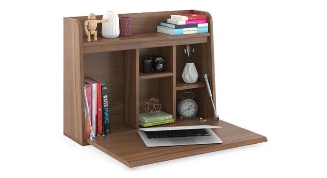 Grisham Wall Mounted Study Table